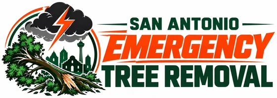 San Antonio Emergency Tree Removal